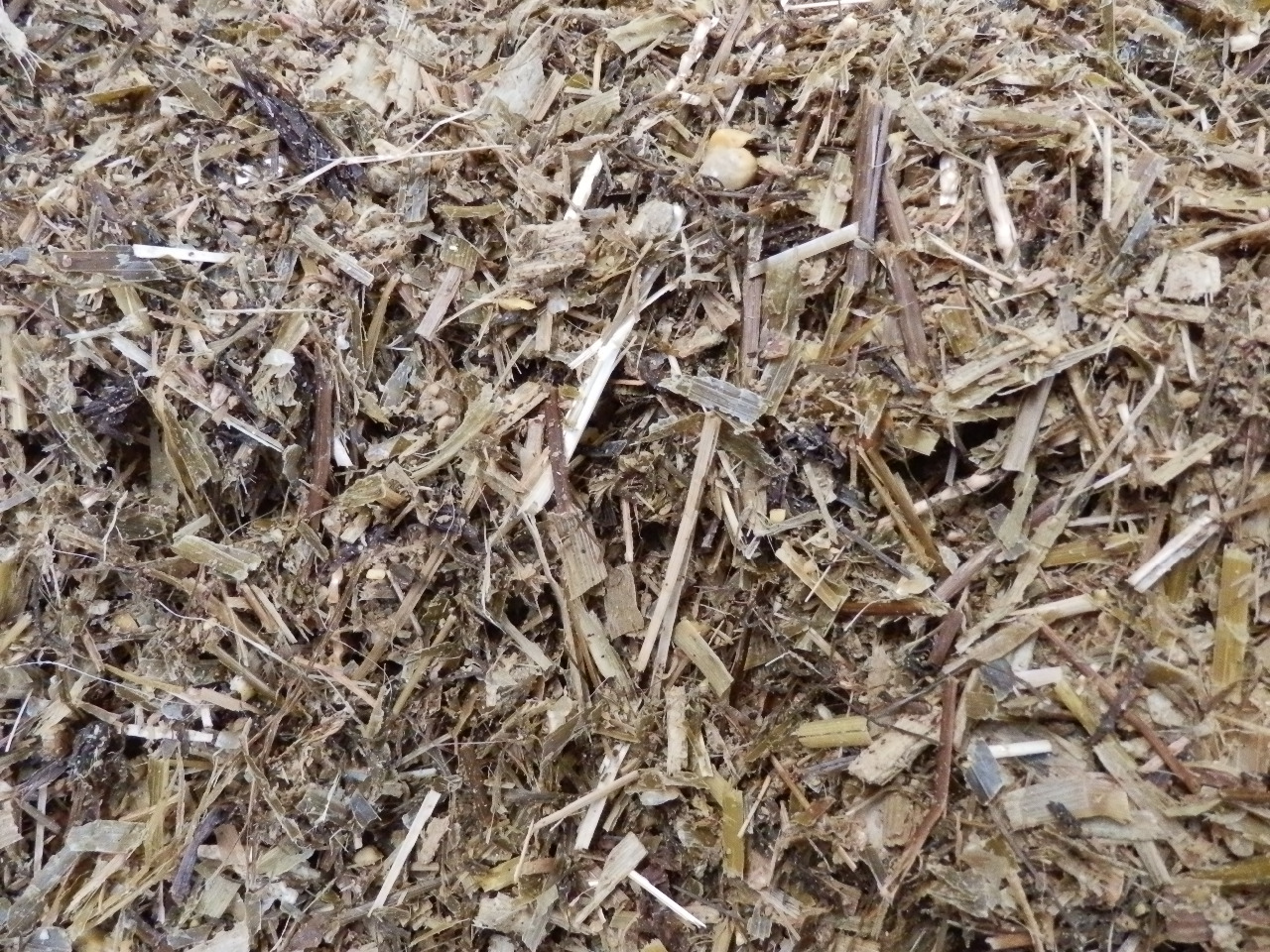 Směsná krmná dávka (TMR)